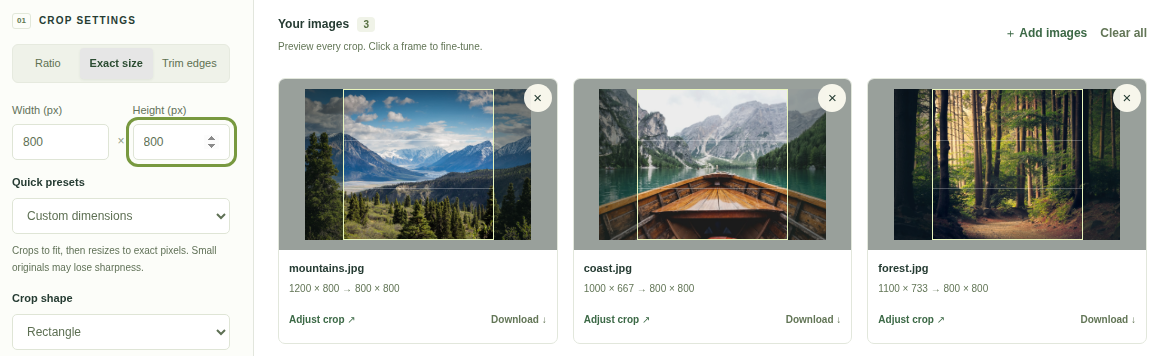 Exact size set to 800 by 800 pixels, with three different sample photo dimensions all previewing an 800 by 800 output.